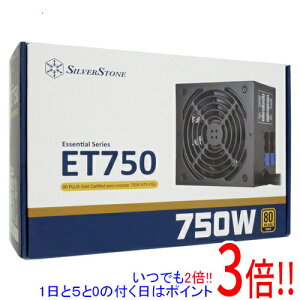 y15.0̂A18̓|Cg3{IzSILVERSTONE PCd SST-ET750-HG 750W ubN