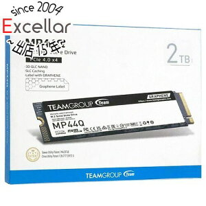 ył2{I5.0̂A183{IzTeam M.2 SSD MP44Q TM8FFD002T0C101 2TB