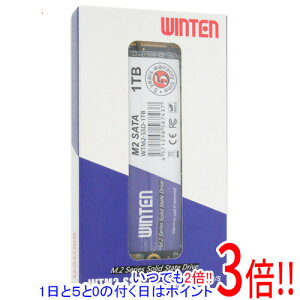 WINTEN �����^SSD WTM2-SSD-1TB