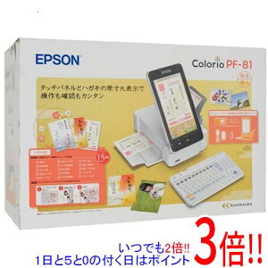 yۏؑΉ!!zEPSON nKLv^[ JI PF-81-2024