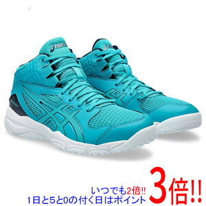 y15.0̂A18̓|Cg3{Izasics AVbNX 23.5cm oXPbg{[V[Y LbY DUNKSHOT MB 9 1064A006 O[/~bhiCg