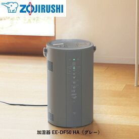 象印 加湿器 スチーム式 EE-DF50／グレー（HA） 広口容器タイプ お手入れ簡単【ZOJIRUSHI 正規品】
