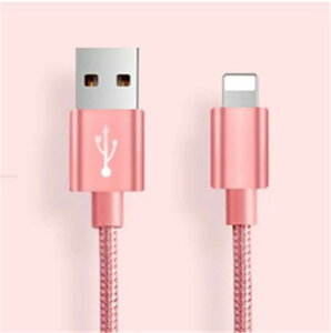 iPhoneP[u  2m }[dP[u [d f[^]P[u USBP[u iPadp iPhonep iPhone14 iPhone13 iPhone12 iPhone11 XS Max XR X 8 7 6s/6/PLUS X}zP[u yPLیςݐ