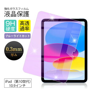 iPadiA16jKXیtB u[CgJbg iPad i10j10.9C` tیKXtB h~ EhGbWH NAdl 0.3mm ^ \ʍdx9H ϏՌ wh~ X