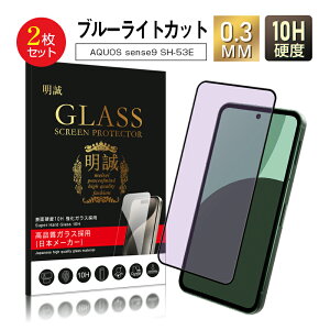 y2ZbgzAQUOS sense9 u[CgJbg KXtB AQUOS X}z AQUOS sense9 SH-53E/SHG14/A405SH/SH-M29 tیKXV[ ANIX X}zXN[یV[g 3DSʃ^Cv tJ