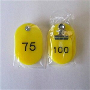 NEyACzeqD@51|100@ A-4953349083127yCR-OY100-Yz