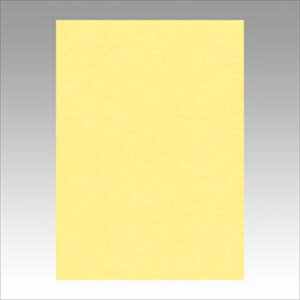 �����e�b�N�yAC�z�j���[�J���[4��100���@�N���[�� A-4954022641016���yGO4NCR-101�z