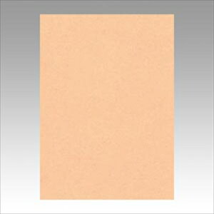 �����e�b�N�yAC�z�j���[�J���[4��100���@������������ A-4954022641030���yGO4NCR-103�z