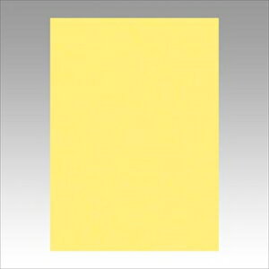 �����e�b�N�yAC�z�j���[�J���[4��100���@������ A-4954022641085���yGO4NCR-108�z