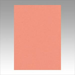 �����e�b�N�yAC�z�j���[�J���[4��100���@�T�[���� A-4954022641276���yGO4NCR-127�z