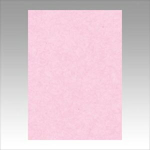 ebNyACzj[J[4100@ A-4954022642181yGO4NCR-218z