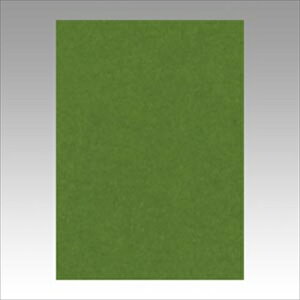 �����e�b�N�yAC�z�j���[�J���[4��100���@�I���[�u A-4954022643164���yGO4NCR-316�z