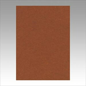 �����e�b�N�yAC�z�j���[�J���[4��100���@������������ A-4954022643232���yGO4NCR-323�z