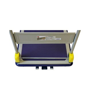 󍁍HƁyACzۈL[bNDXL@u[Lt A-4960517180878y180878z