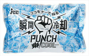 ACXWpyEށzuԗppbN p`N[ AR4521718277103