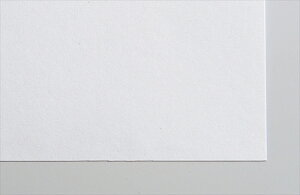 A[ebNyEށzp 8 (#150 100) AR4521718112527
