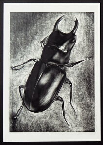 A[ebNyEށzS XNb`  AR4521718132624