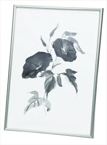 A[ebNyEށznt[A4 AR4521718208268