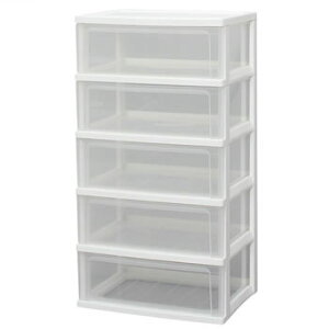 y12/10聚I2l1lő100%|CgobNIvGg[zACXI[}yIRISzCh`FXg 5i W-545yW545z