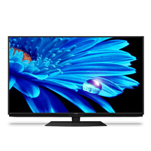 シャープ【SHARP】55V型 4K液晶テレビ AQUOS 4K BS・CS 4Kチューナー内蔵 4T-C55EN1★【Google TV】