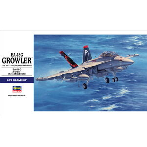 1/72 EA-18G �O���E���[