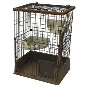 yeBIyybgpiznecoco lRR eL̂ɂ҂ Lbg[T[N P-4903588249976yW24997z