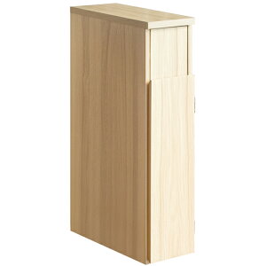 {쏊yqlgݗāz30L X_Xg{bNX SantiaiTeBAj i` 17×s44.5×80cm DB-F170-NTyCeA Ƌ ؖڒ S~ LX^[tz