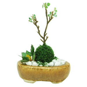プラッツ【盆栽ミニチュア模型】1/12 THE BONSAI 小判寄せ植え(茶) 完成品 H-4545782017793【陶器(鉢)】BONN08