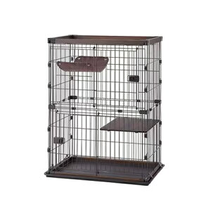 y11/15聚I2l1lő100%|CgobNIvGg[zACXI[}yybgpizEbfBLbgP[W2i EH[ibg PWCR-962V nbN I-4967576632966yIRI