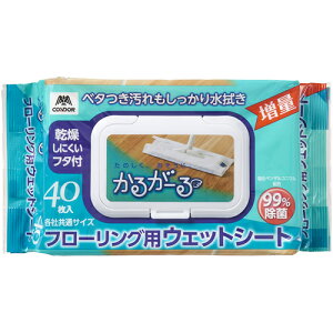 RYƁypiz邪[@t[OpEFbgV[gt^t@40 Y-4903180201273yt[OCp[pz