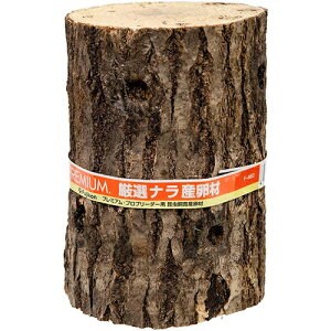 tWRyybgpizIiY 1{ P-4977097261002yNK^  Y؁z