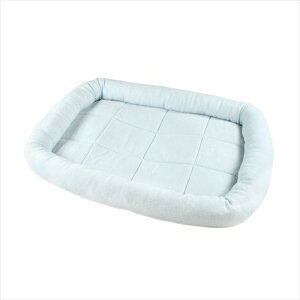 ybgvWpyybgpiz 2021@PP@^I}bg@M P-4981528813548