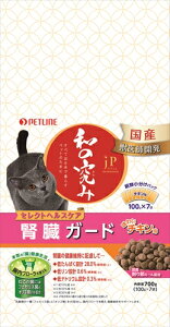 ybgCyybgpiz JPa̋ݔLptK[h`L700g P-4902162052797