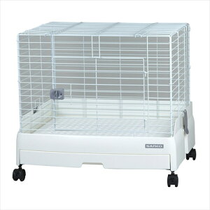 y11/25聚I2l1lő100%|CgobNIvGg[zOWyybgpiz OW@C[W[z[@G{60 P-4976285125409