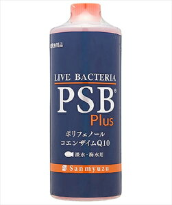 T~[Yyybgpiz PSB@Plus@1L P-4530052100152