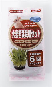 y12/5聚I2l1lő100%|CgobNIvGg[zA^yybgpizp 唞t͔|Zbg 6 P-4532243404827