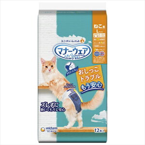 y11/5聚I2l1lő100%|CgobNIvGg[zjE`[yybgpiz}i[EFA ˂pLTCY 12 P-4520699654996yj`[z