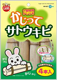 【1/15限定★抽選で2人に1人最大100%ポイントバック！要エントリー】マルカン【ペット用品】かじってサトウキビ　4本　MR−807 P-4906456541837【MR-807】