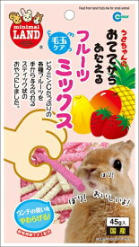 マルカン【ペット用品】おててからあたえる　フルーツミックス　45g P-4906456547709【MR-681】