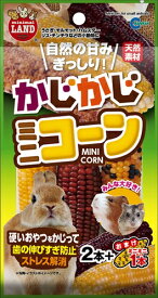 マルカン【ペット用品】かじかじミニコーン 2本+おまけ1本 P-4906456560012【MR-785】