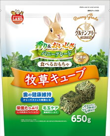 マルカン【ペット用品】バニーグレード 牧草キューブ 650g P-4906456579793【ML-542】