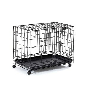 y11/15聚I2l1lő100%|CgobNIvGg[zt@^W[[hyybgpiz2WAY Vv[ ] Q[W LTCY P-0673869599093yDMM36-2wayz