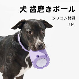 部分即納　犬 歯磨きボール テニス タンブリング 犬 トレーニング ぬいぐるみ犬の 犬のインタラクティブなボールのおもちゃ 犬の転がるおもちゃ テニスタンブルおもちゃ ゴム