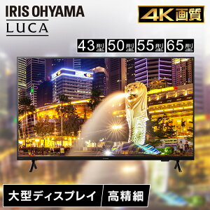 【設置サービス対象】大型ディスプレイ 液晶ディスプレイ 43型 50型 55型 65型 壁掛け オフィス アイリスオーヤマ DO-DU434S DO-DU504S DO-DU554S DO-DU654S (HS)