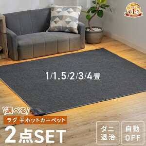 ★楽天1位★ ホットカーペット 2畳 1畳 1.5畳 3畳 4畳 ラグ セット 省エネ 本体 TEKNOS 電気カーペッ