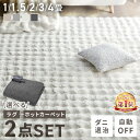 【5%OFFクーポン★11日9:59迄】 ★楽天1位★ ホットカーペット 2畳 1畳 1.5畳 3畳 4畳 ラグ セット 省エネ 本体 TEKNO…