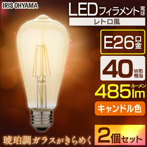�y2�Z�b�g�zLED�t�B�������g�d�� ���g�������ߒ��K���X�� 40�`���� �L�����h���F LDF4C-G-FK �A�C���X�I�[���}