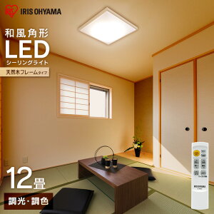 LEDV[OCg ap` 12  F   F F dF LED V[O VƖ Ɩ LEDƖ ȃGl ߓd  a VR ACXI[} CL12DL-5.1JM