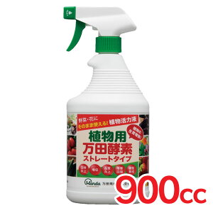 ACXI[} ApcyfXg[g^Cvi900ccj