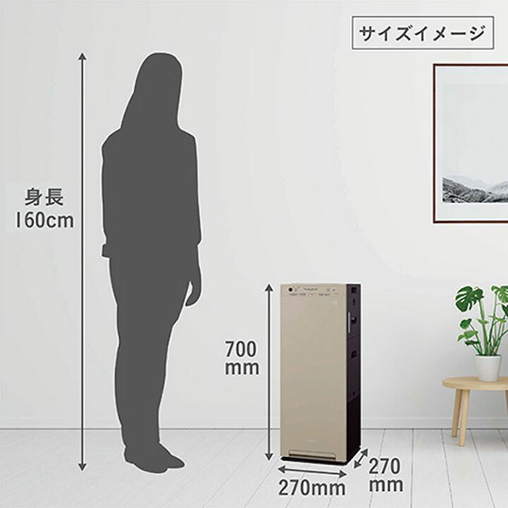 楽天市場】【1000円OFFクーポン&P10倍☆29日～31日9:59迄】【2025年 